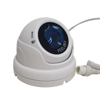 Dome IP-camera 2 Megapixel instelbare lens wit